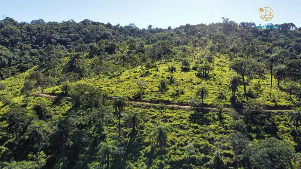 Terreno, 5 hectares - Foto 12