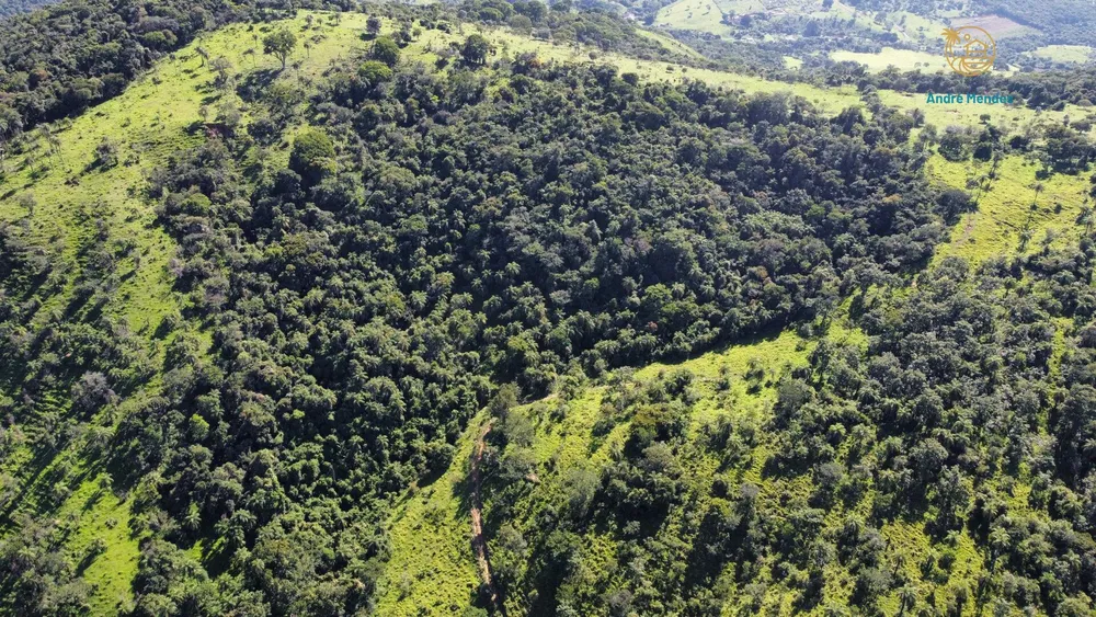 Terreno, 5 hectares - Foto 8