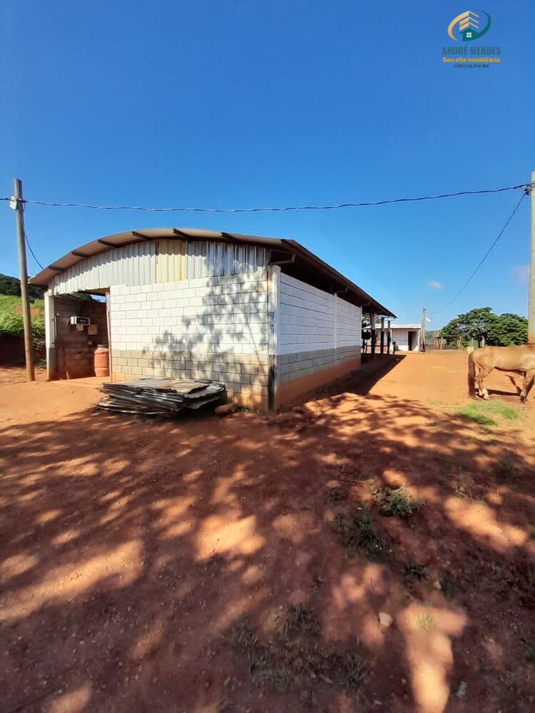 Fazenda, 140 hectares - Foto 10