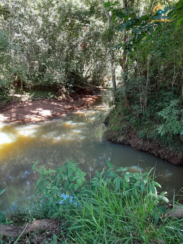 Fazenda, 140 hectares - Foto 2