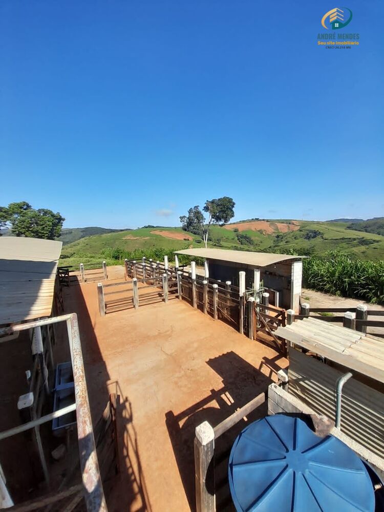 Fazenda, 140 hectares - Foto 12