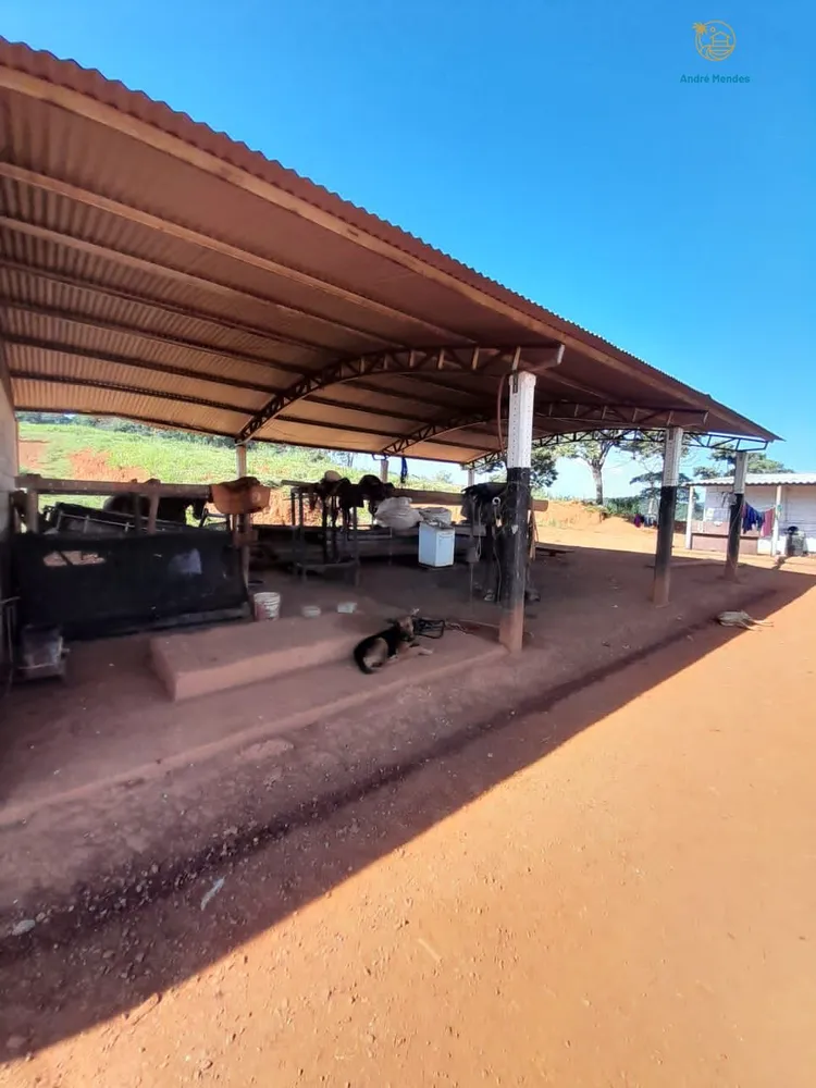 Fazenda, 140 hectares - Foto 18