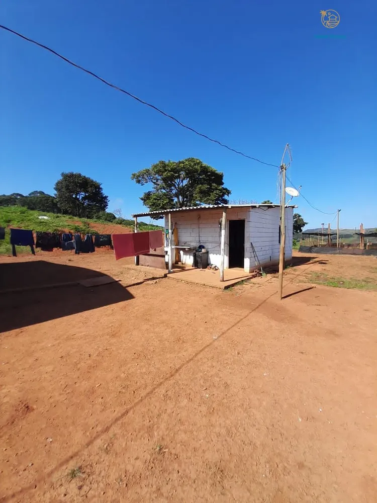 Fazenda, 140 hectares - Foto 14