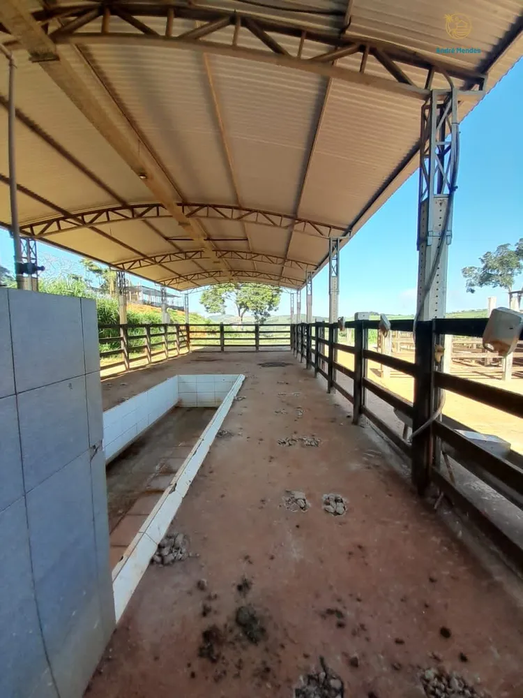 Fazenda, 140 hectares - Foto 20
