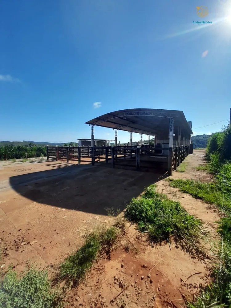 Fazenda, 140 hectares - Foto 16