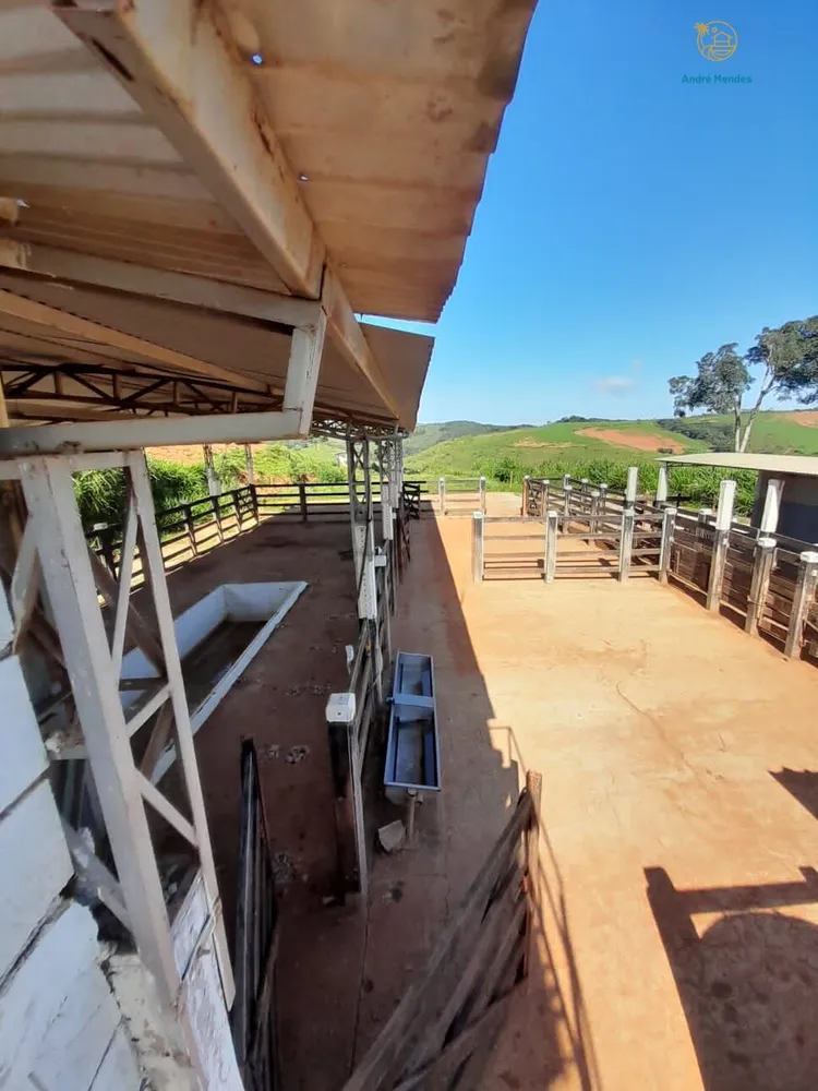 Fazenda, 140 hectares - Foto 19