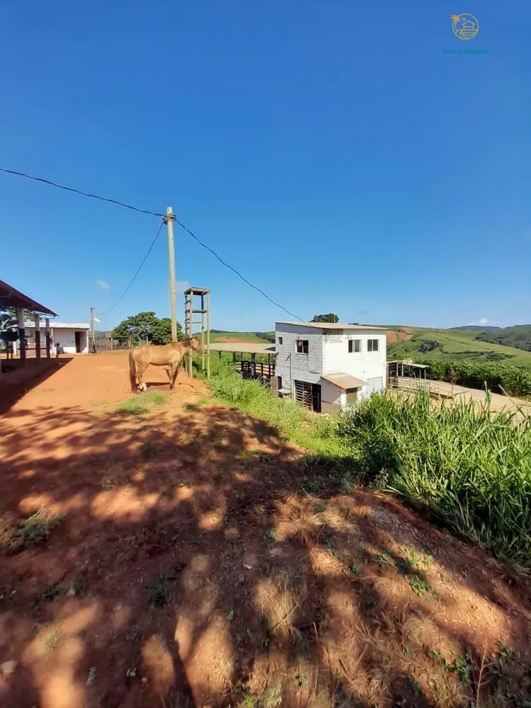 Fazenda, 140 hectares - Foto 15