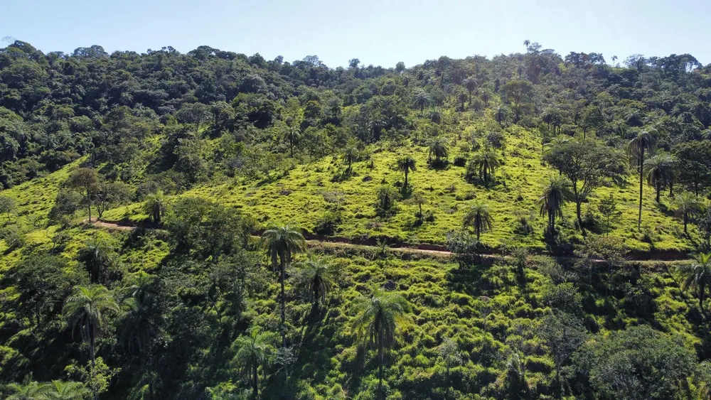Terreno, 1000 m² - Foto 4