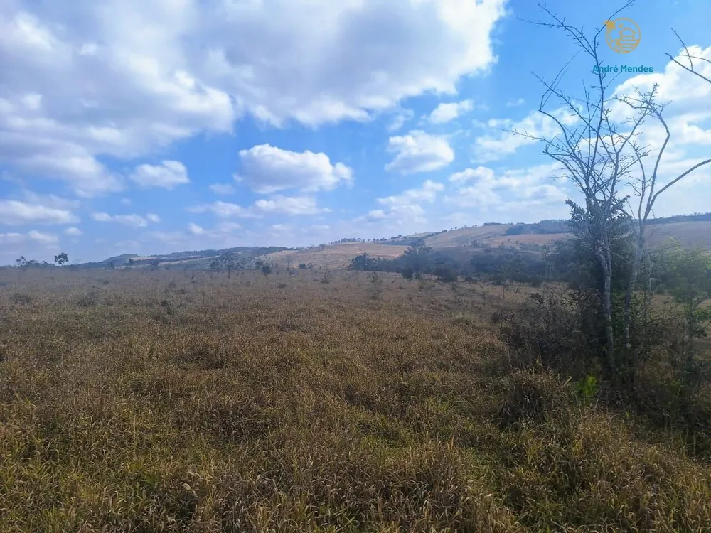Fazenda, 55 hectares - Foto 4