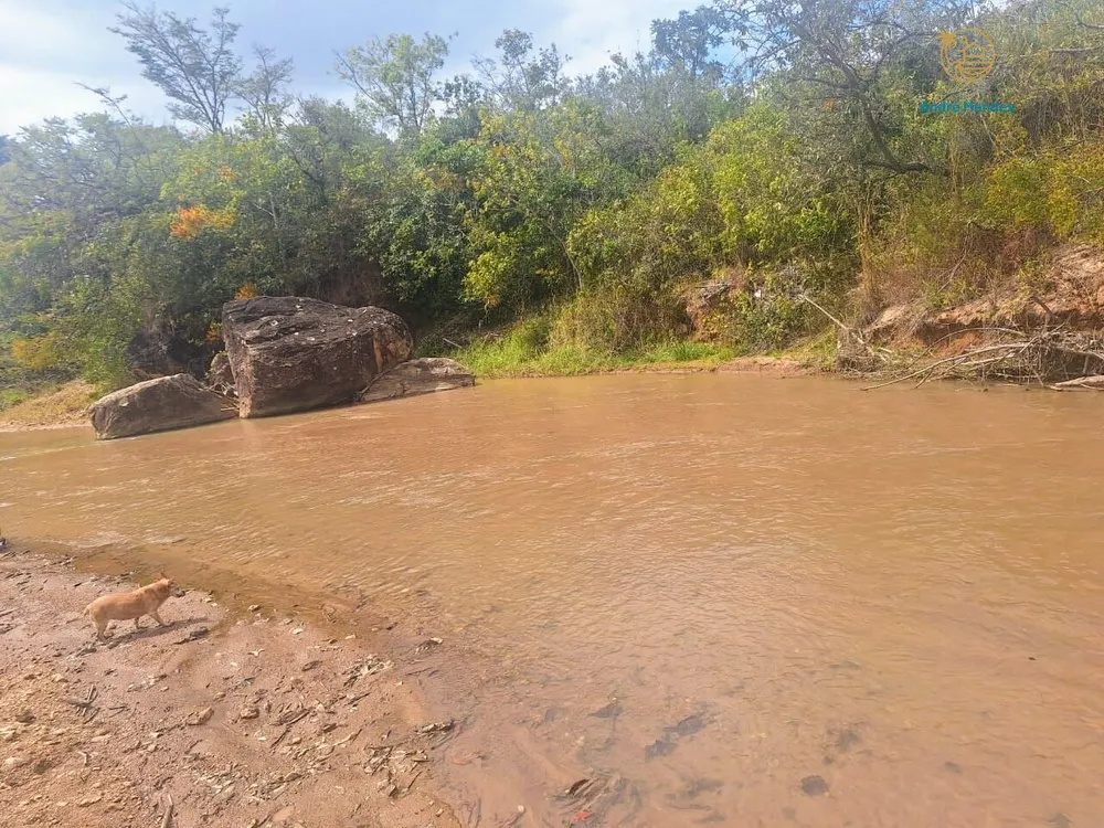 Fazenda, 55 hectares - Foto 6