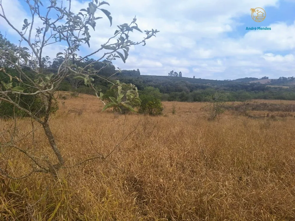 Fazenda, 55 hectares - Foto 7
