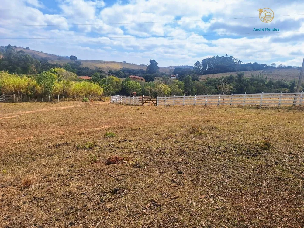 Fazenda, 55 hectares - Foto 5