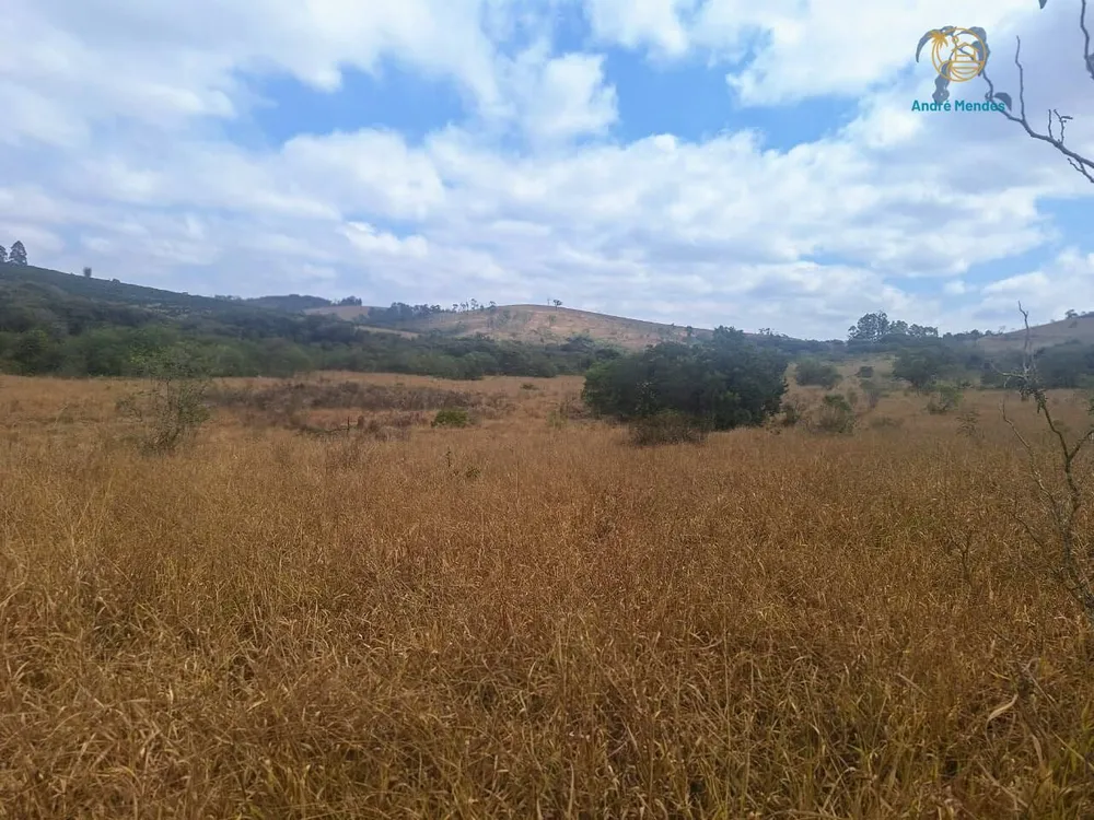 Fazenda, 55 hectares - Foto 3