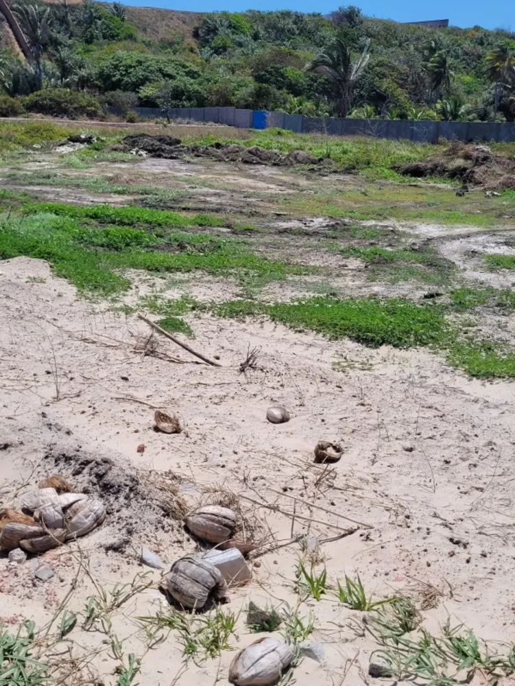 Terreno, 300 m² - Foto 14