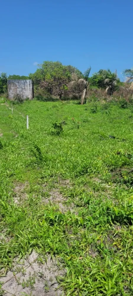 Terreno, 200 m² - Foto 7