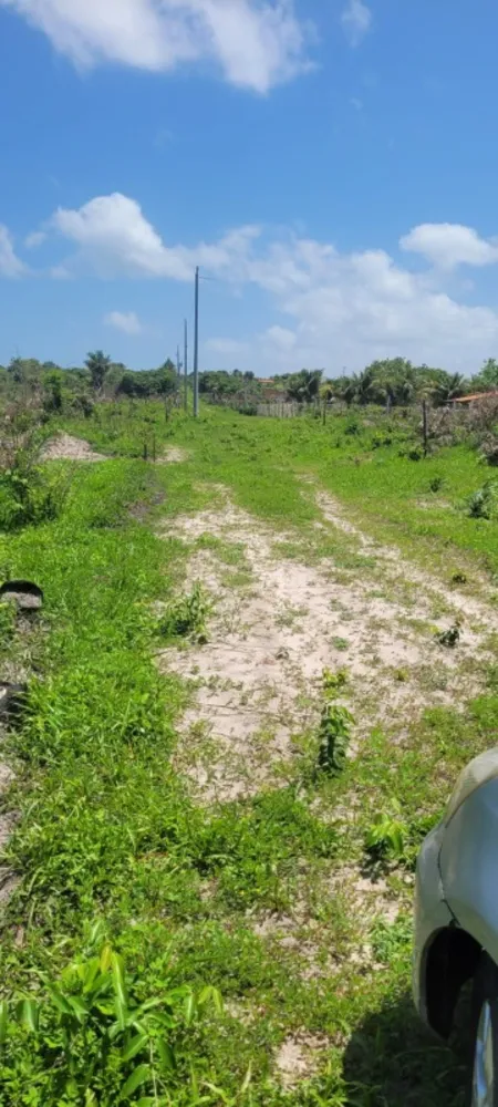 Terreno, 200 m² - Foto 15