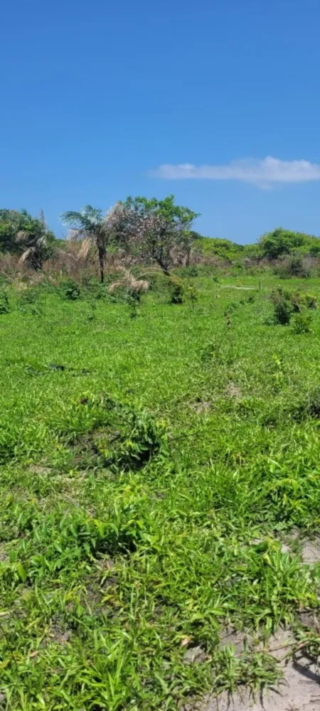 Terreno, 200 m² - Foto 19