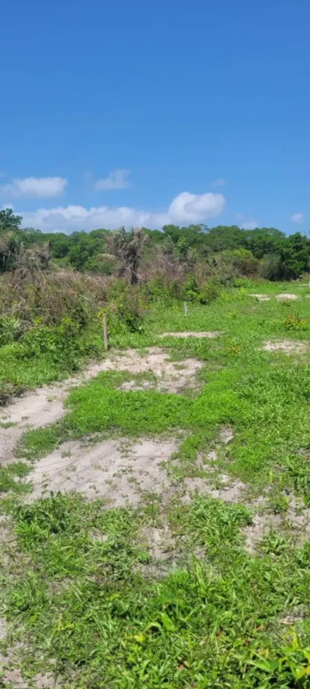 Terreno, 200 m² - Foto 12