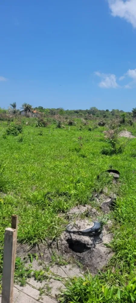 Terreno, 200 m² - Foto 11