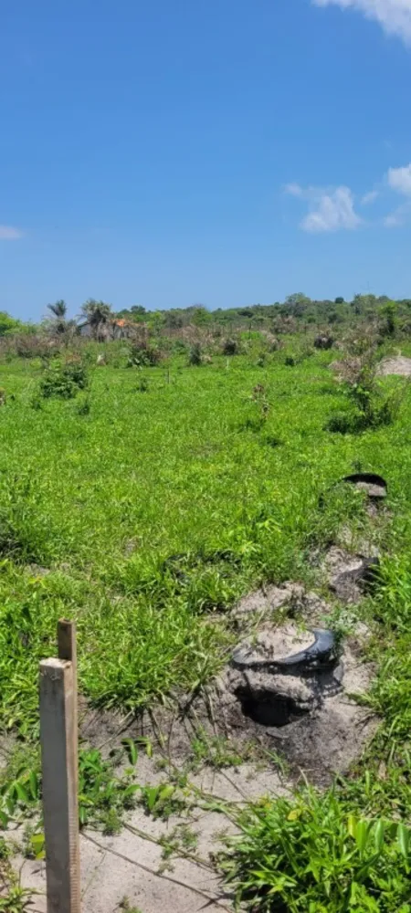 Terreno, 200 m² - Foto 8