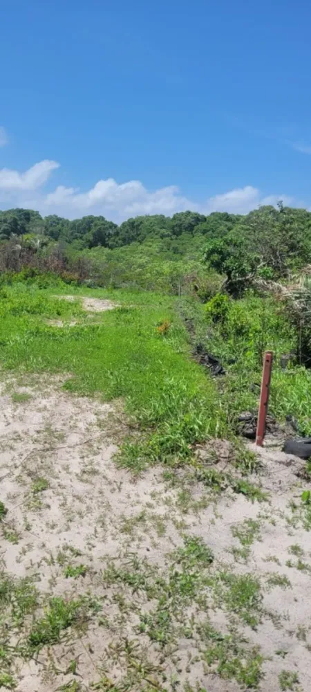 Terreno, 200 m² - Foto 10