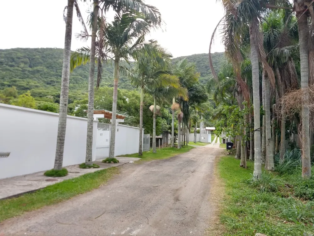 Casa, 4 quartos - Foto 5