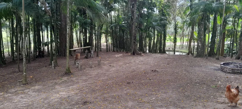 Chácara, 4 quartos - Foto 2