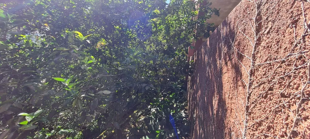 Casa, 3 quartos - Foto 35