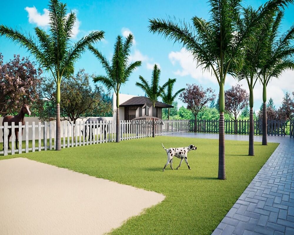 Chácara, 3 quartos - Foto 6