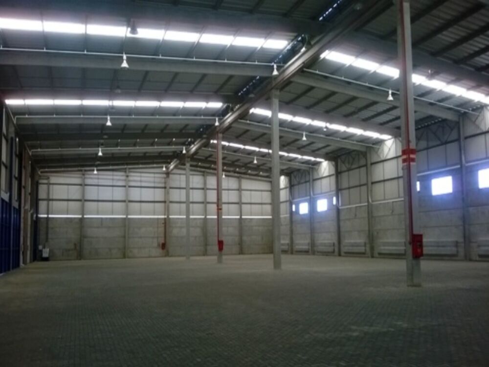 Depósito-Galpão - Foto 11
