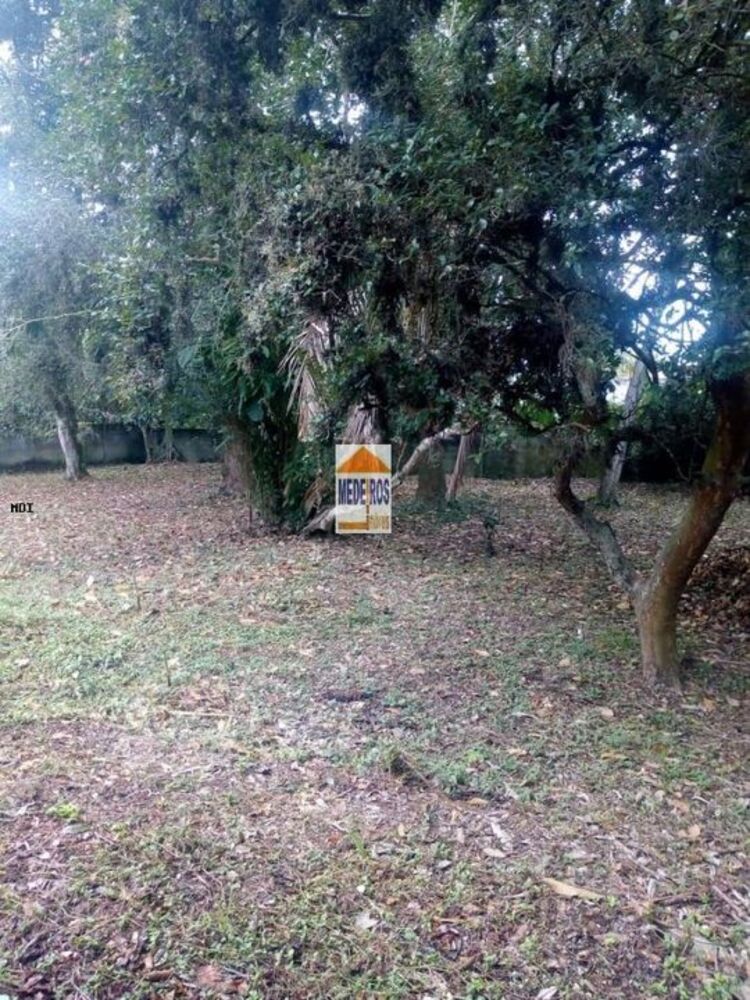 Casa, 4 quartos, 1280 m² - Foto 6