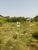 Prédio Inteiro, 1850000 m² - Foto 2