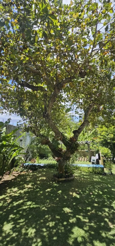 Casa de Condomínio, 5 quartos - Foto 5