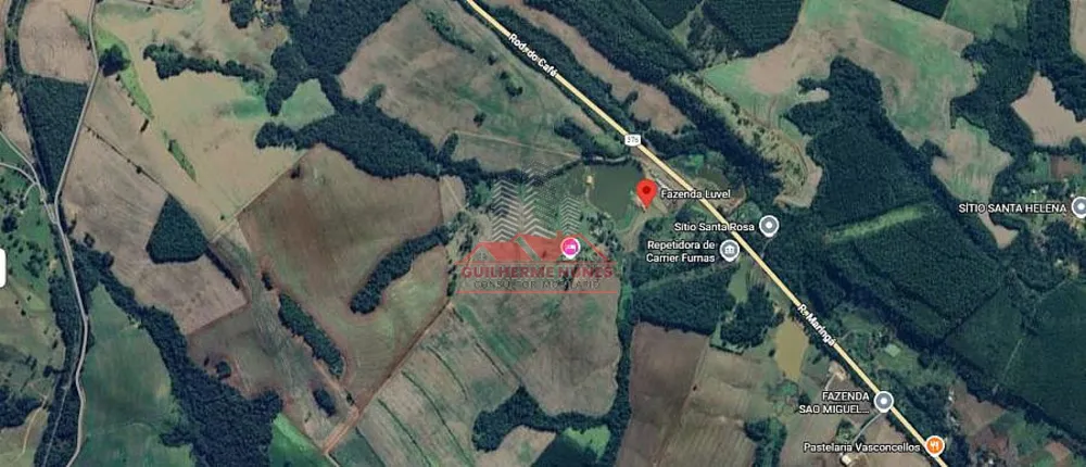 Fazenda, 60 hectares - Foto 4