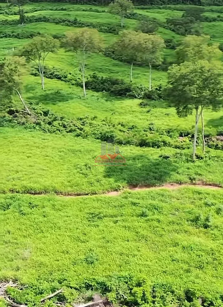 Fazenda, 2265 hectares - Foto 10