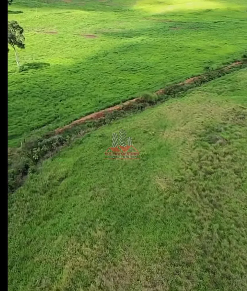 Fazenda, 2265 hectares - Foto 3