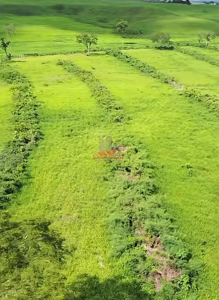 Fazenda, 2265 hectares - Foto 6