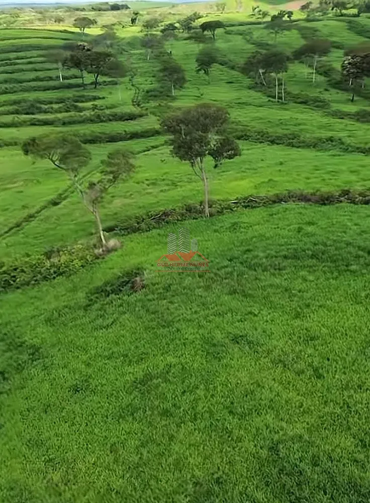 Fazenda, 2265 hectares - Foto 1