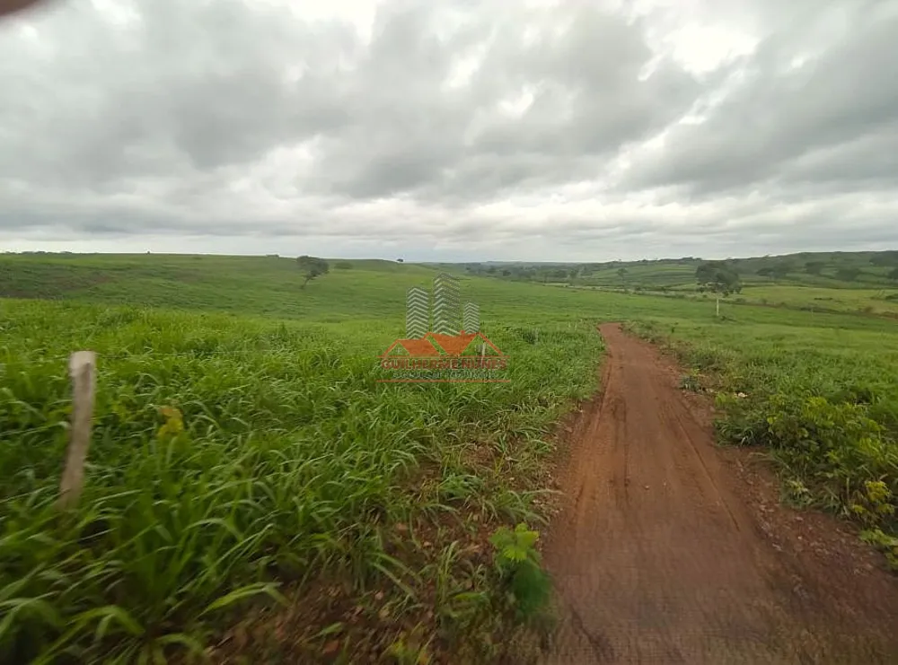 Fazenda, 2265 hectares - Foto 12
