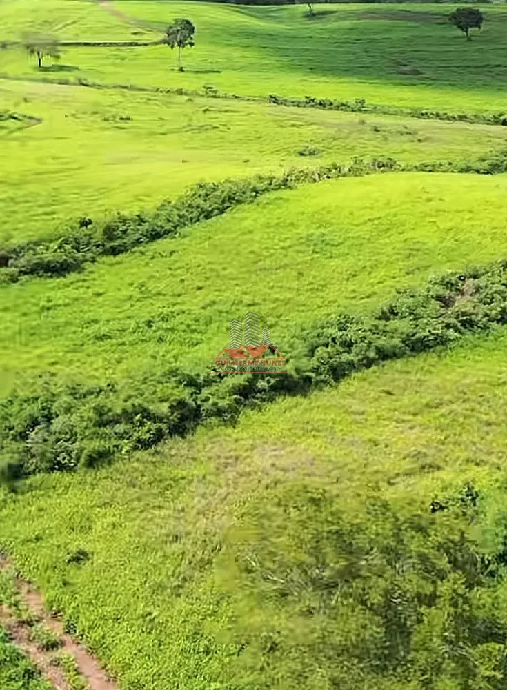 Fazenda, 2265 hectares - Foto 8