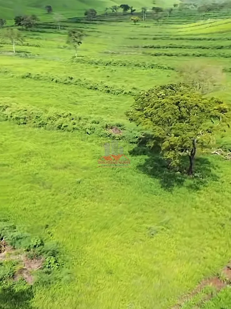 Fazenda, 2265 hectares - Foto 2
