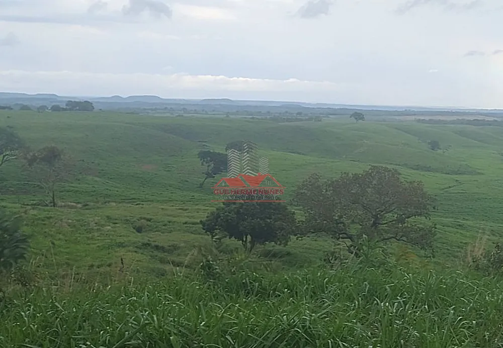Fazenda, 2265 hectares - Foto 11