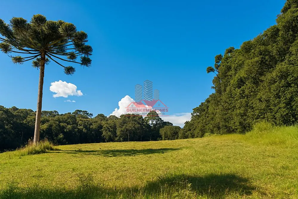 Chácara, 6050 m² - Foto 1