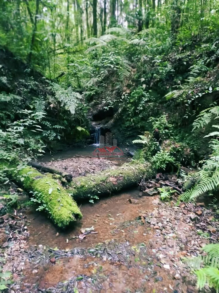 Chácara, 6050 m² - Foto 6