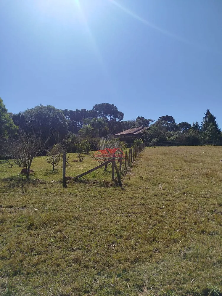 Chácara, 2 quartos, 2 hectares - Foto 13