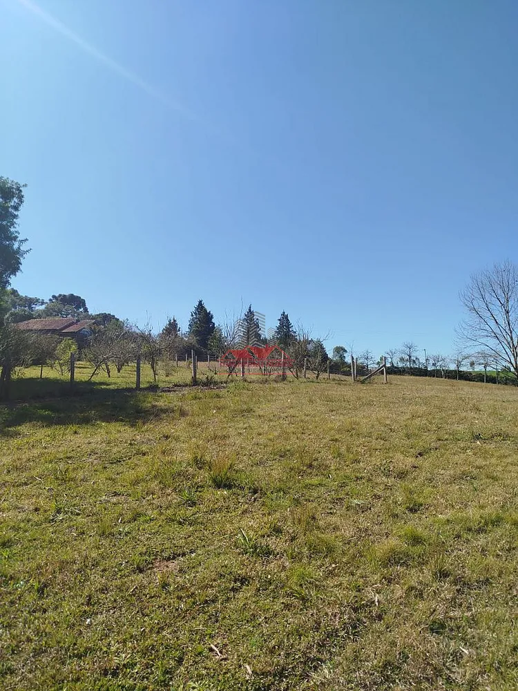 Chácara, 2 quartos, 2 hectares - Foto 19