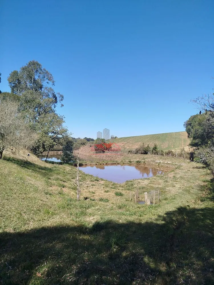 Chácara, 2 quartos, 2 hectares - Foto 11
