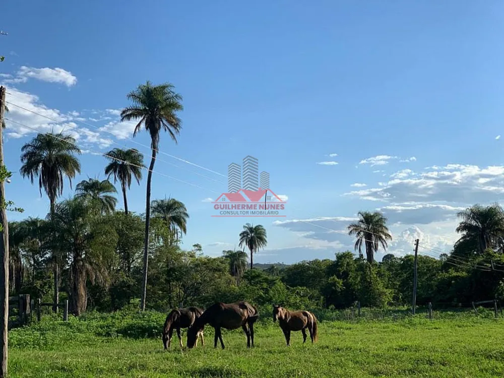Fazenda, 498 hectares - Foto 7
