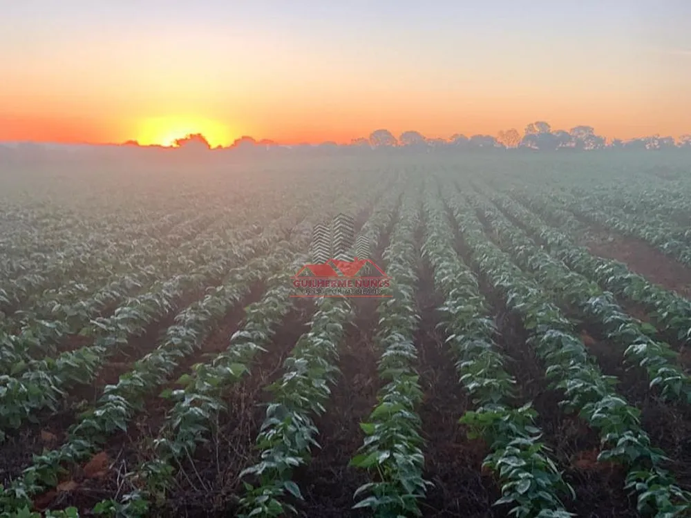 Fazenda, 498 hectares - Foto 1