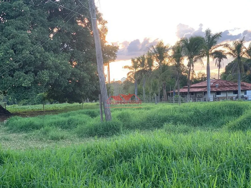 Fazenda, 498 hectares - Foto 10